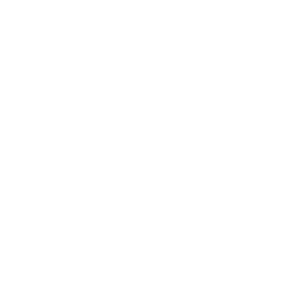 Download Icon